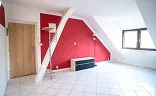Ostatní