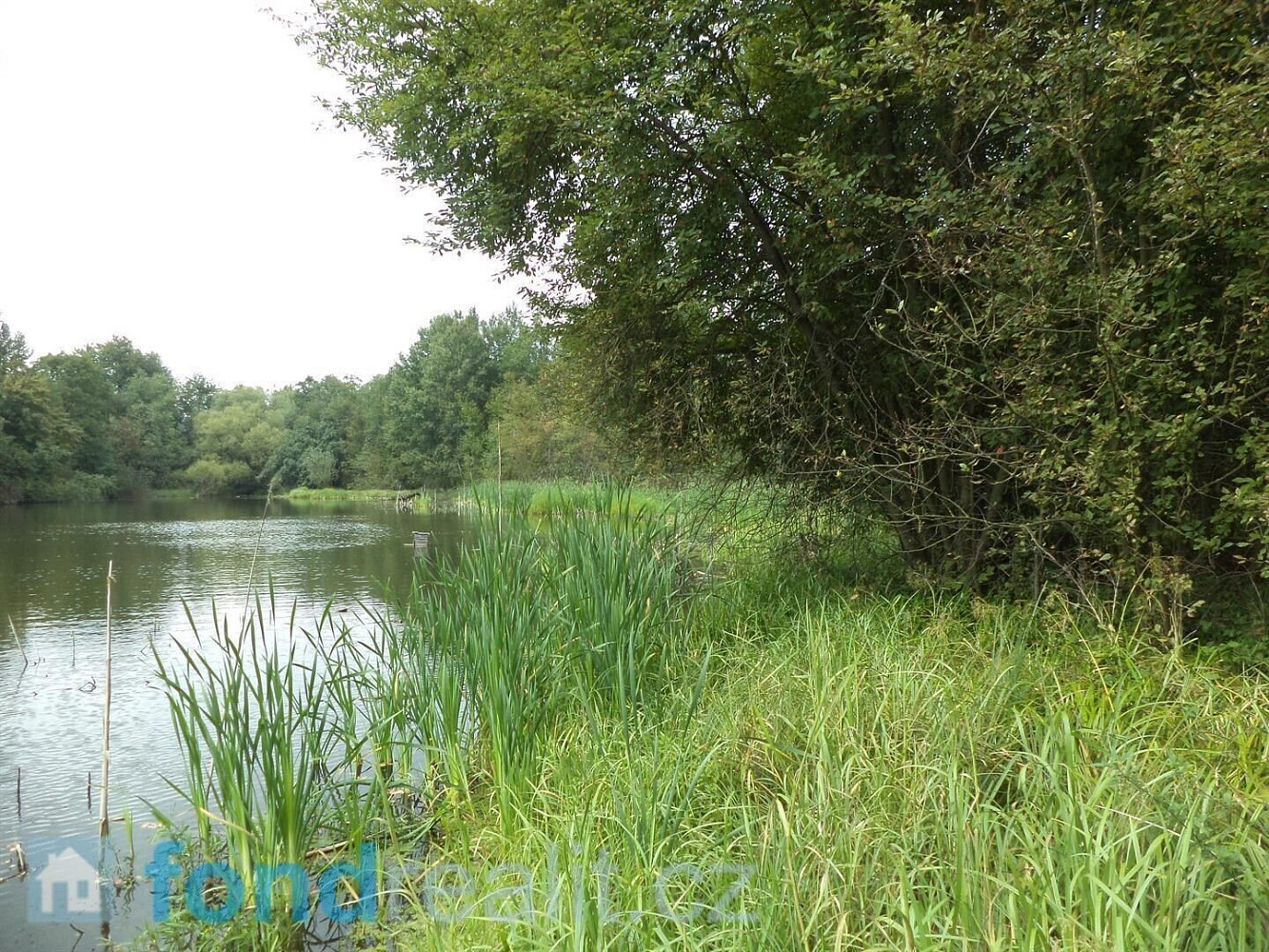 Prodej pozemku 1 919 m² – fotografie 4