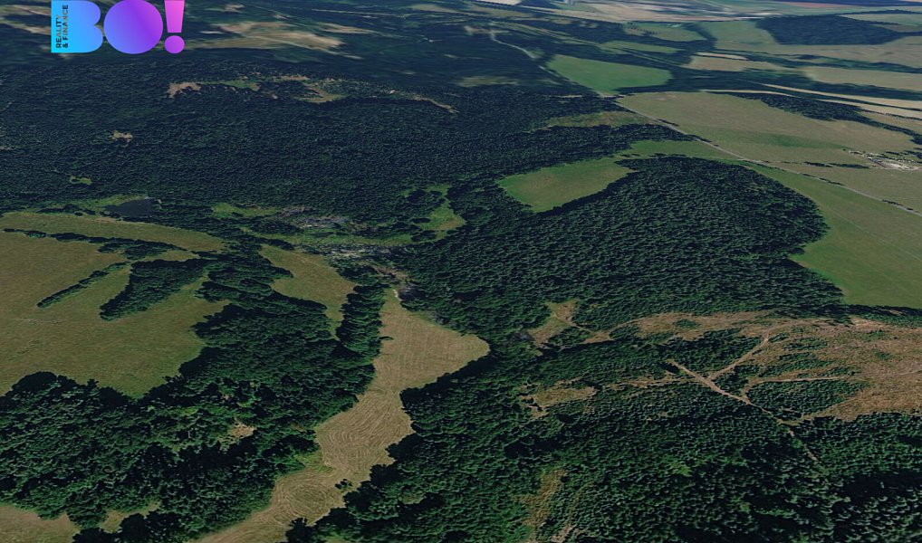 Prodej pole 1 600 m², Přimda – náhled fotky 3