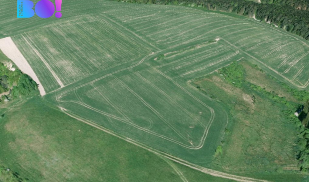 Prodej pole 16 985 m², Kunštát – náhled fotky 3