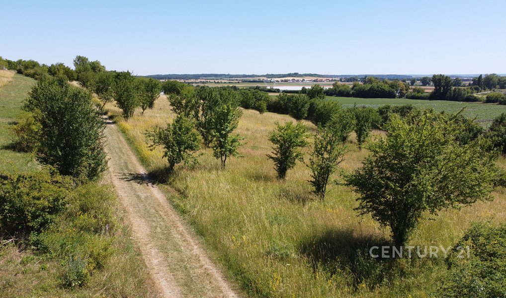 Prodej stavebního pozemku 1 659 m², Přerov nad Labem – náhled fotky 12