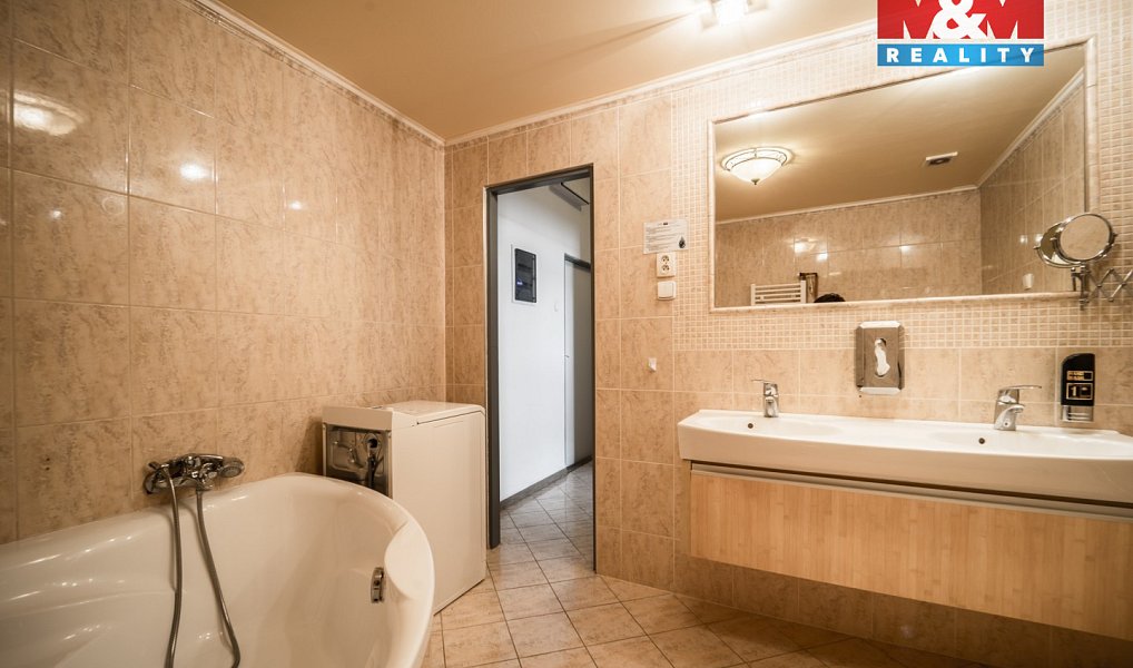 Pronájem bytu 4+kk 102 m², Plzeň – náhled fotky 5