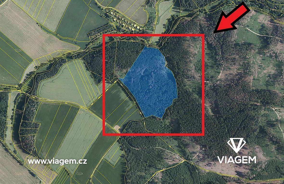 Prodej lesa 3 762 m² – fotografie 2