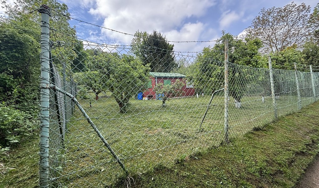 Prodej zahrady 760 m², Praha – náhled fotky 8