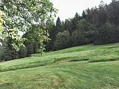 Prodej louky 22055m2