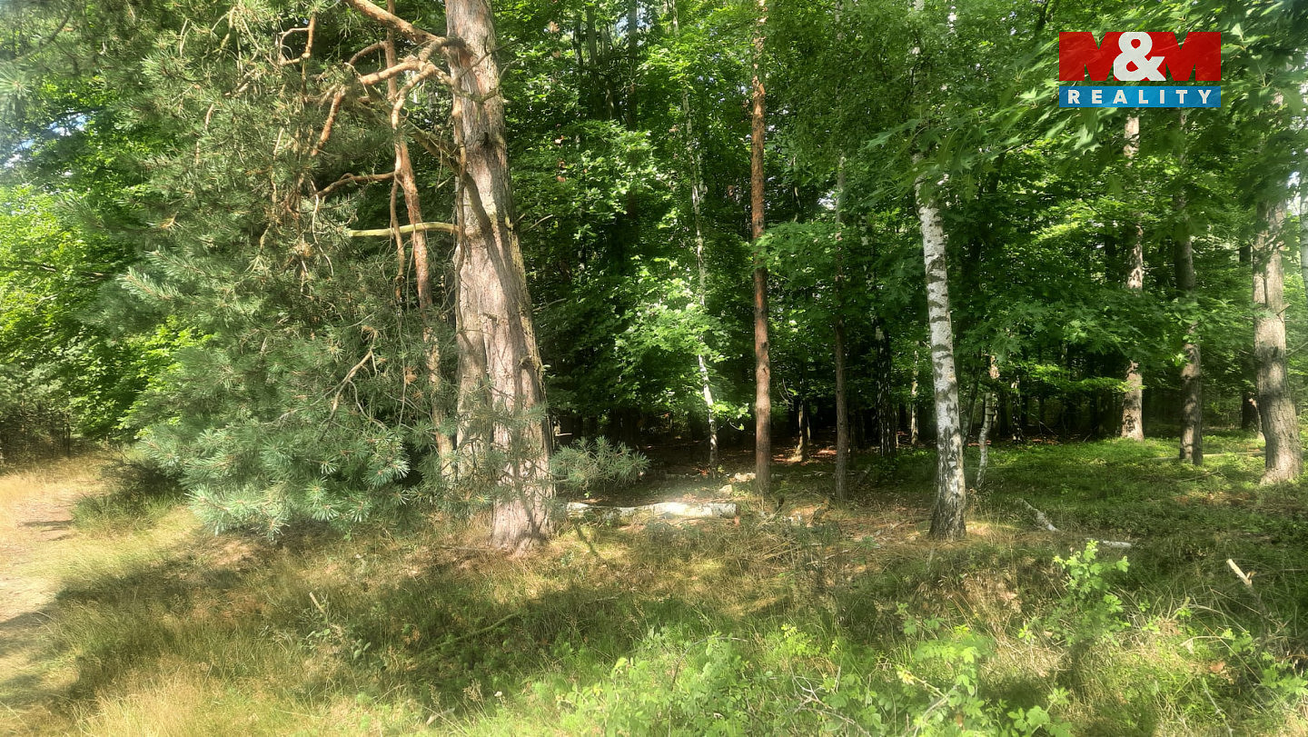 Prodej lesa 108 447 m² — photo 5