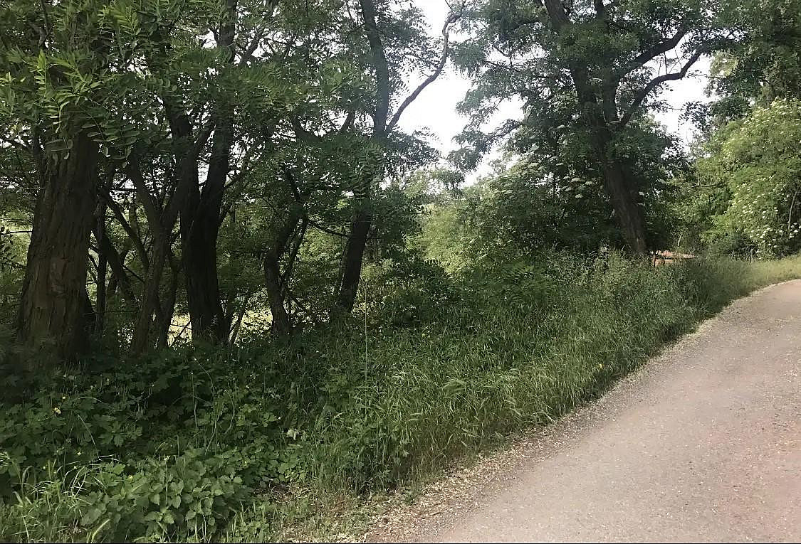 Prodej stavebního pozemku 2 500 m² – pohled 4