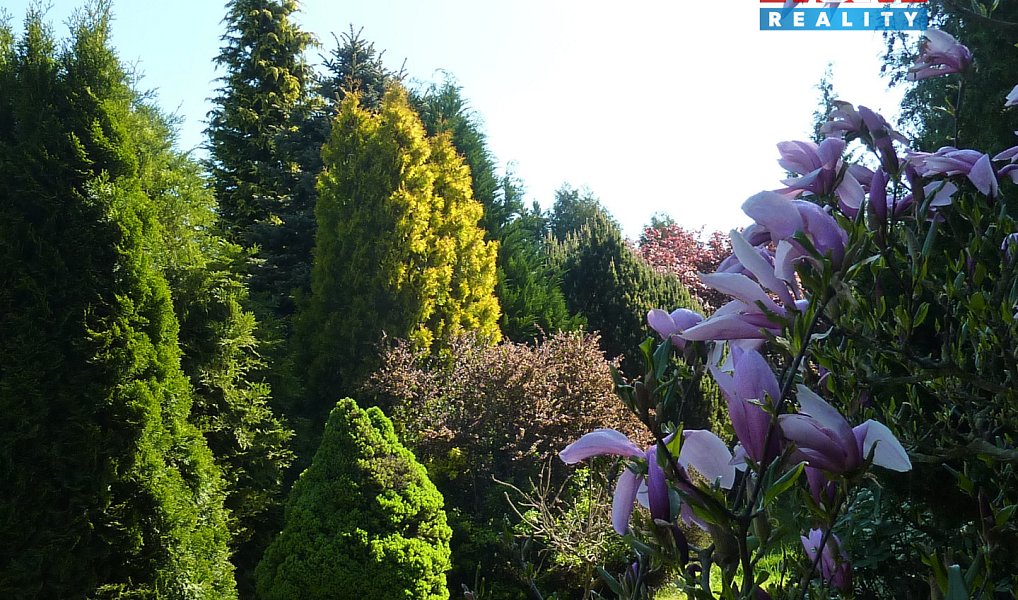 Prodej chaty/chalupy 18 m² s pozemkem 5 800 m², Velké Poříčí – náhled fotky 10