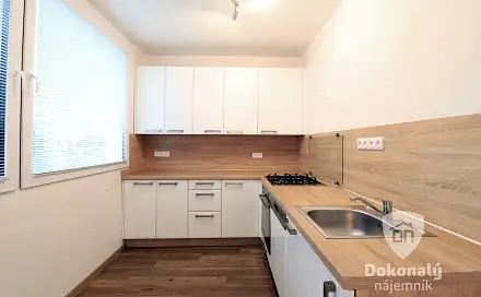 Pronájem bytu 1+1 37 m², Havlíčkova, Mladá Boleslav - Mladá Boleslav II
