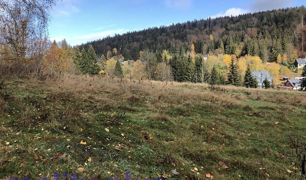 Prodej louky 24 555 m², Bedřichov – náhled fotky 5