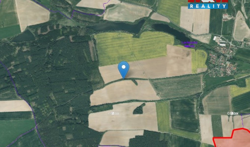 Prodej louky 6 482 m², Lochousice – náhled fotky 2
