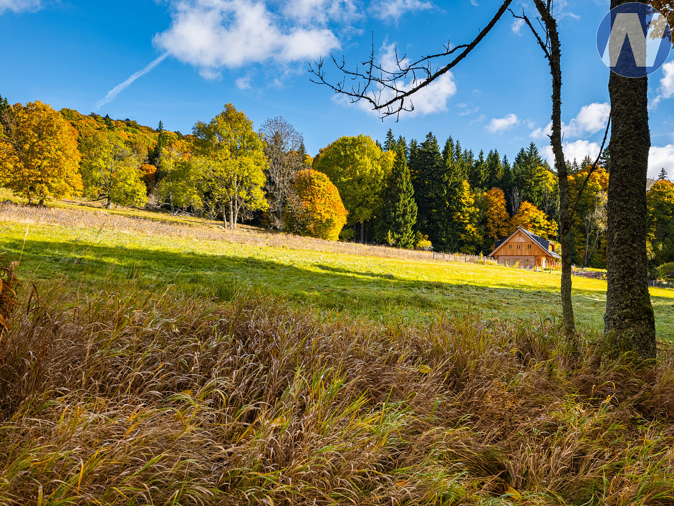 Prodej louky 6 572 m² – fotografie 5