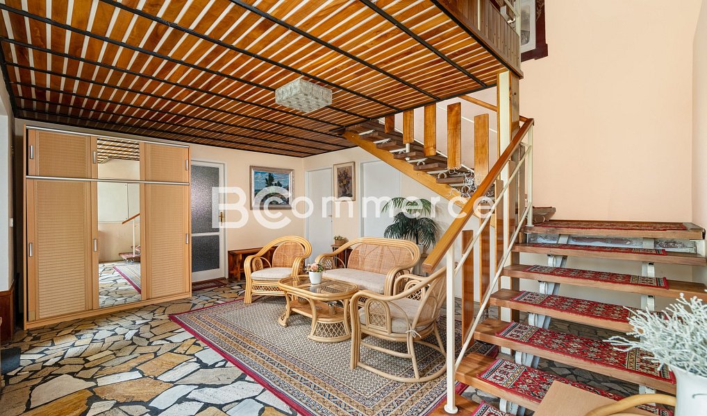 Prodej domu 270 m² s pozemkem 4 446 m², Dolní Kounice – náhled fotky 12