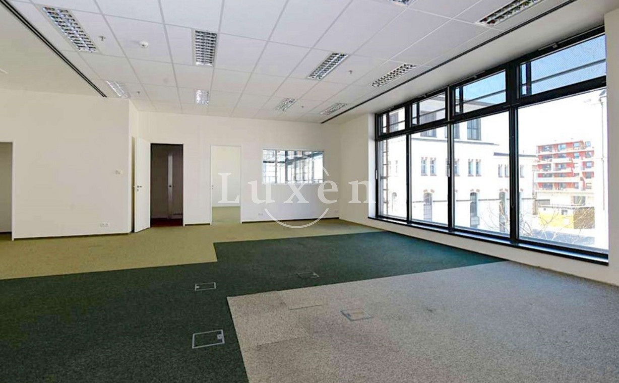 Pronájem kanceláře 241 m² – fotografie 4