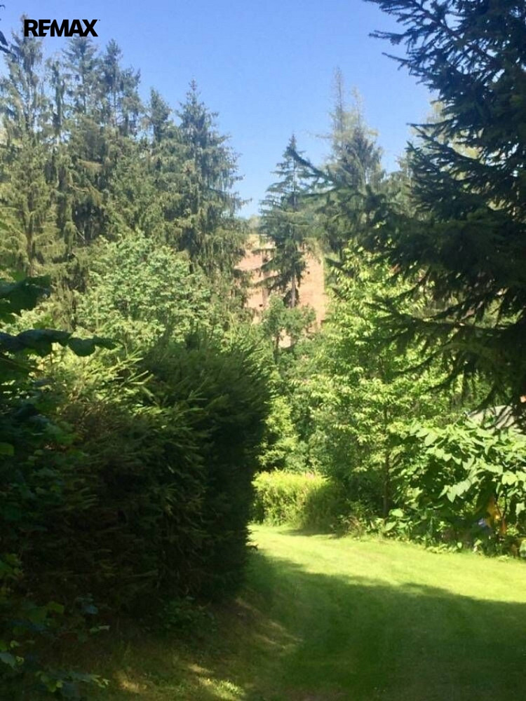 Prodej stavebního pozemku 3 004 m² – fotografie 3