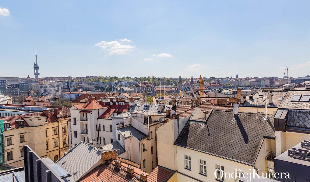 Prodej bytu 1+kk 61 m², Praha – náhled fotky 20