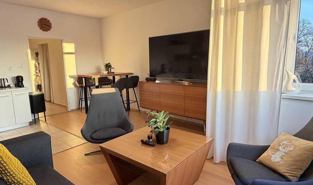 Prodej bytu 3+kk 88 m², Frýdek-Místek – náhled fotky 4