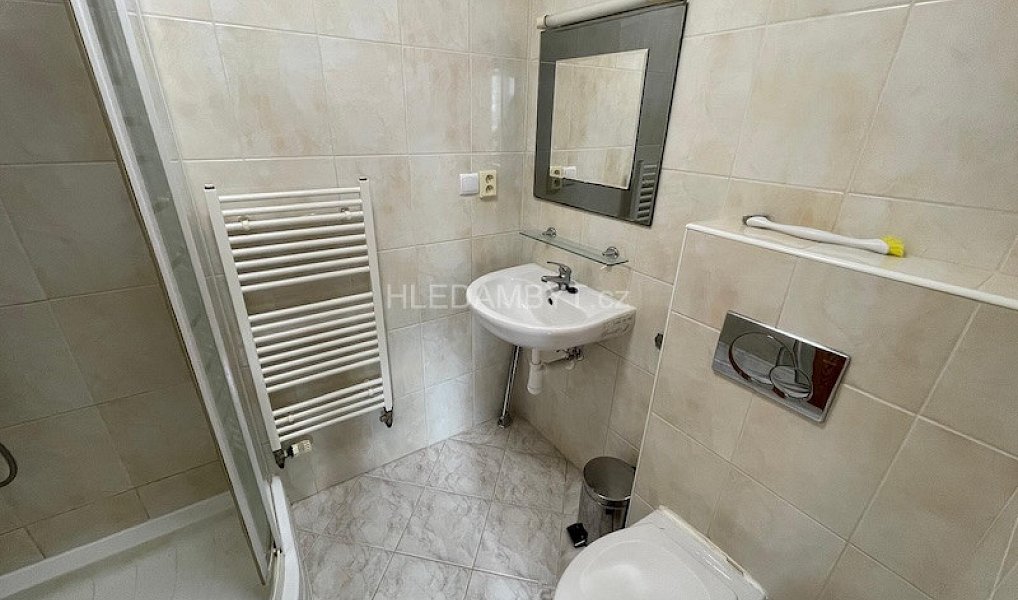 Pronájem bytu 2+kk 36 m², Praha – náhled fotky 10