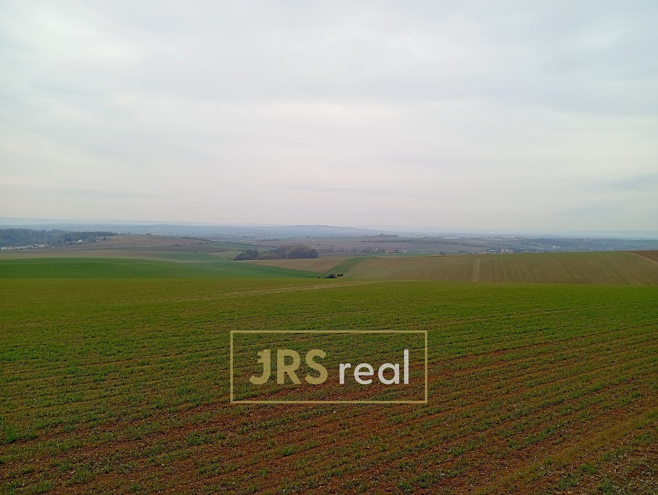 Prodej pole 2 507 m² — photo 4