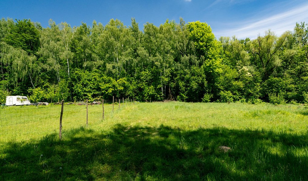 Prodej zahrady 2 646 m², Orlová – náhled fotky 8
