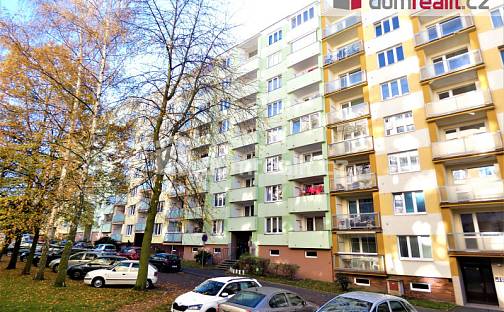 Pronájem bytu 1+1 42 m², Švabinského, Sokolov