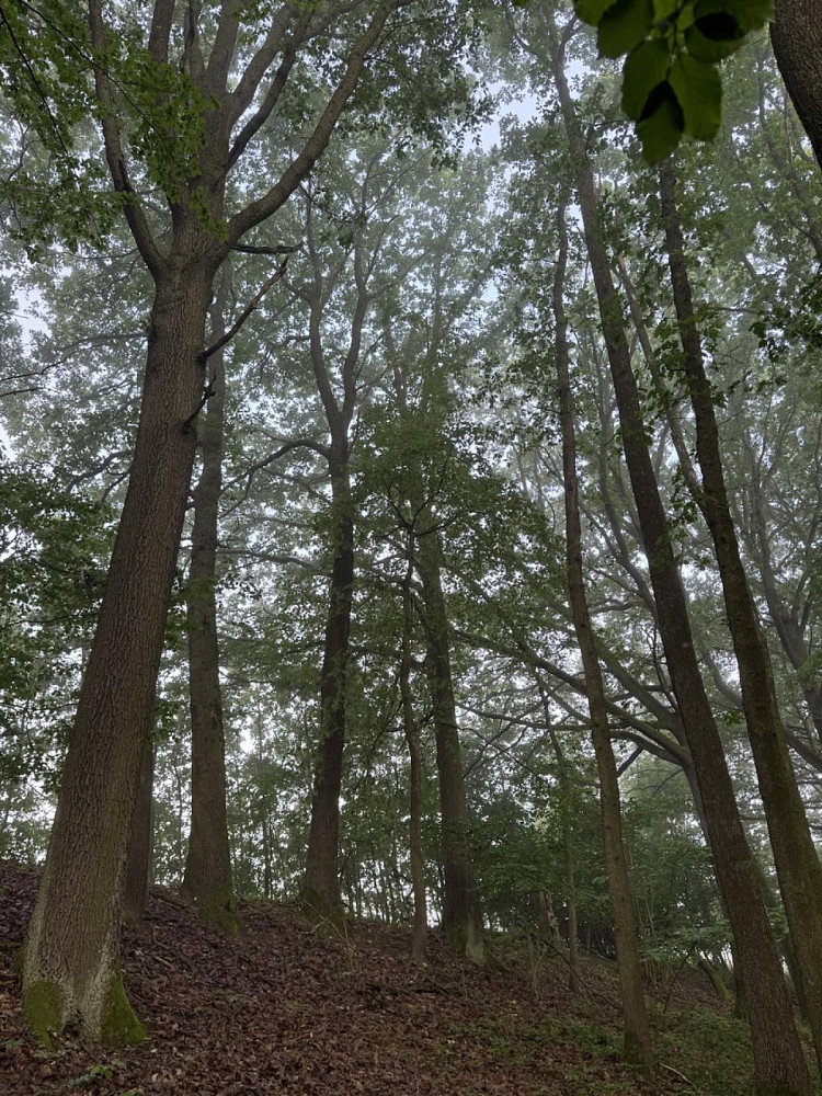 Fotka 5 z 10