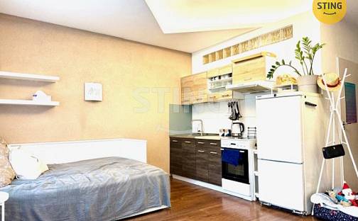 Pronájem bytu 1+kk 30 m², Legionářů, Hodonín