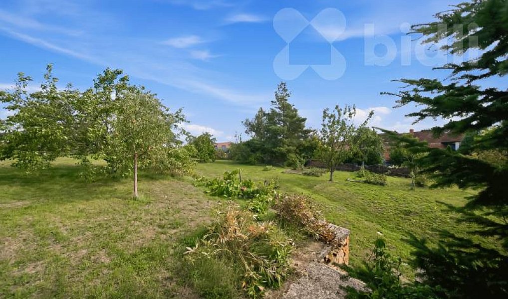 Prodej domu 139 m² s pozemkem 2 664 m², Bílovice-Lutotín – náhled fotky 28