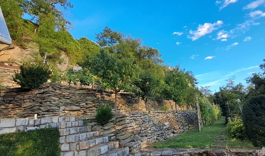 Prodej zahrady 1 116 m², Znojmo – náhled fotky 20