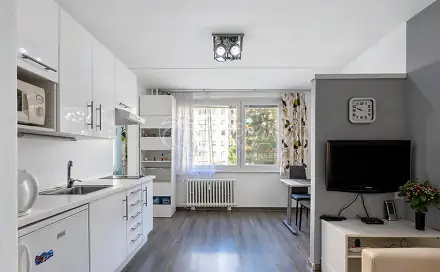 Prodej bytu 1+1 29 m²