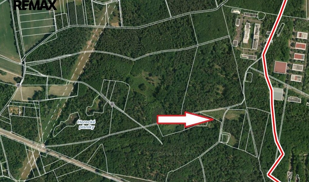 Prodej lesa 15 753 m², Lázně Bohdaneč – náhled fotky 4