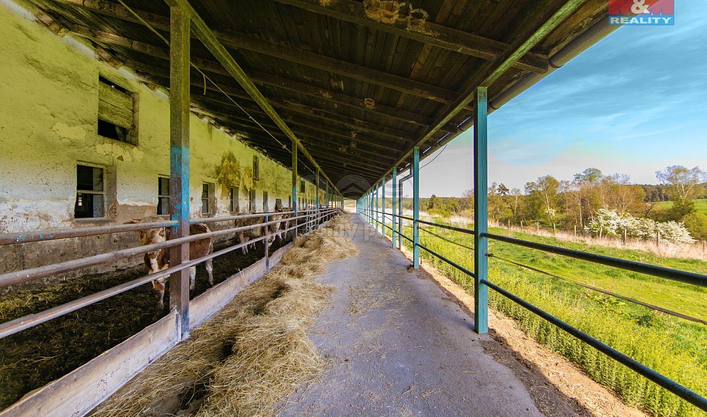 Prodej zemědělského objektu 4 026 m², Černovice – náhled fotky 18