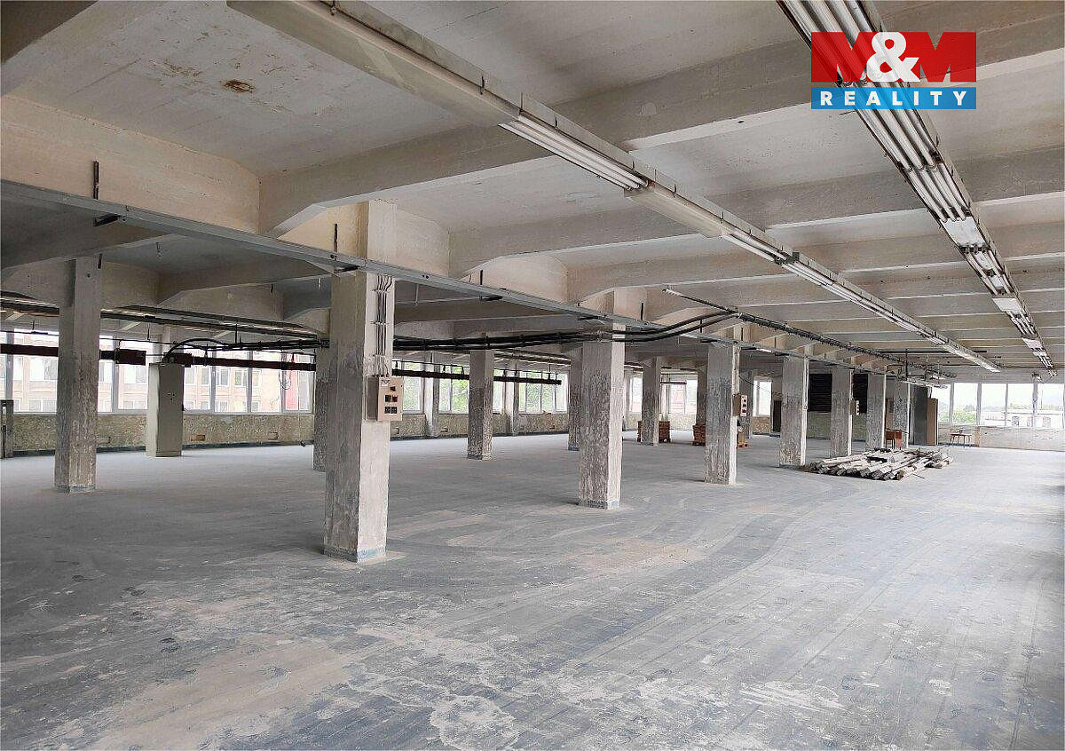 Pronájem obchodních prostor 700 m² – fotografie 4