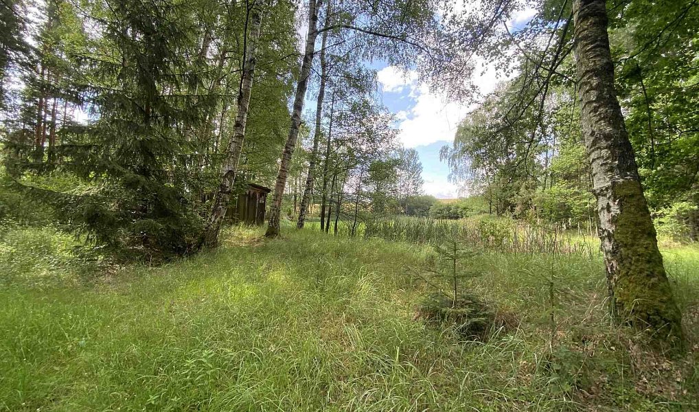 Prodej louky 10 951 m², Trhové Sviny – náhled fotky 9