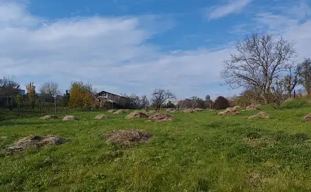 Prodej stavebního pozemku 4 411 m², Holubice, okres Vyškov