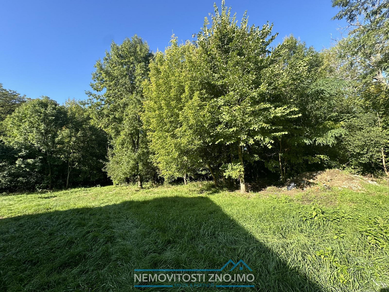 Prodej domu 300 m² s pozemkem 1 026 m² – fotografie 4