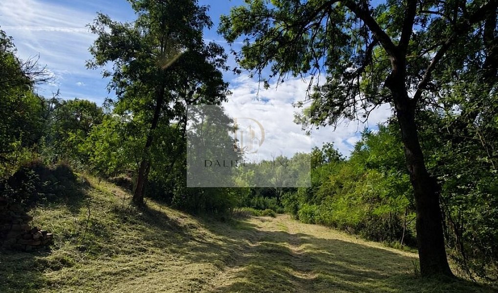 Prodej chaty/chalupy 47 m² s pozemkem 1 591 m², Podbořany – náhled fotky 2