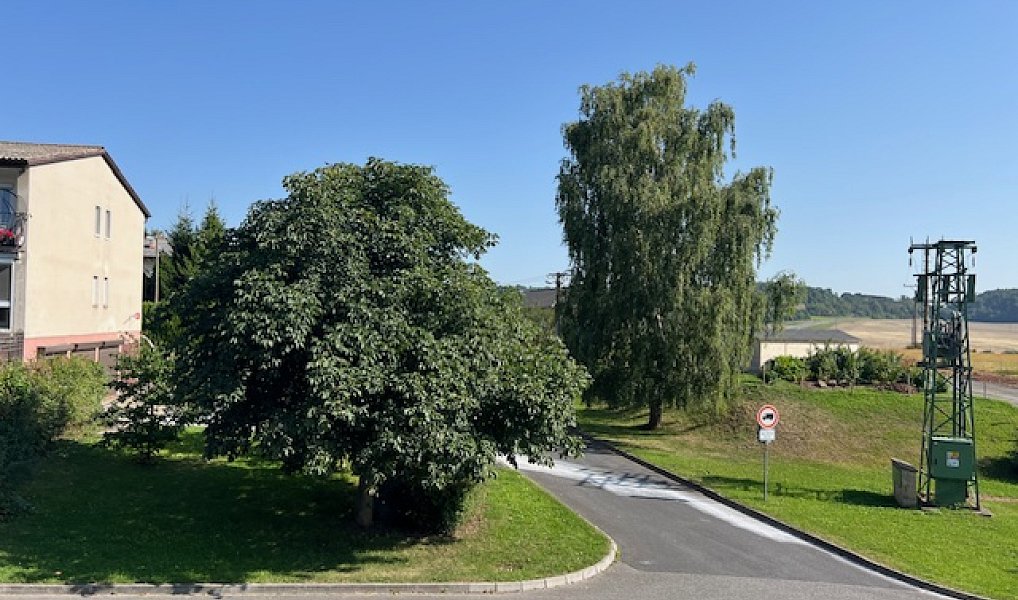 Prodej domu 150 m² s pozemkem 673 m², Řevničov – náhled fotky 29