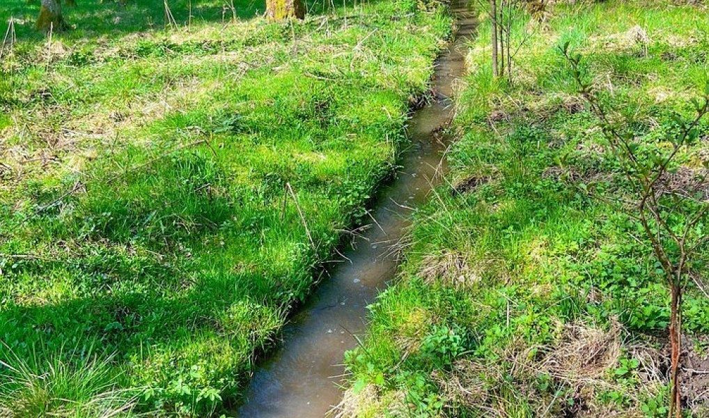 Prodej vodní plochy 16 545 m², Trstěnice – náhled fotky 15