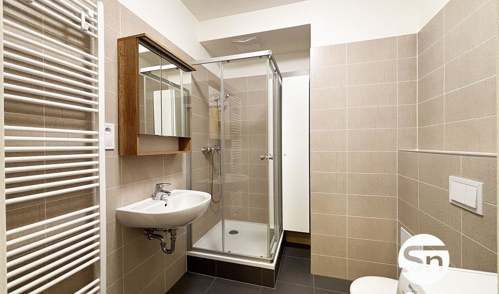 Pronájem bytu 1+kk 33 m², Praha – náhled fotky 7