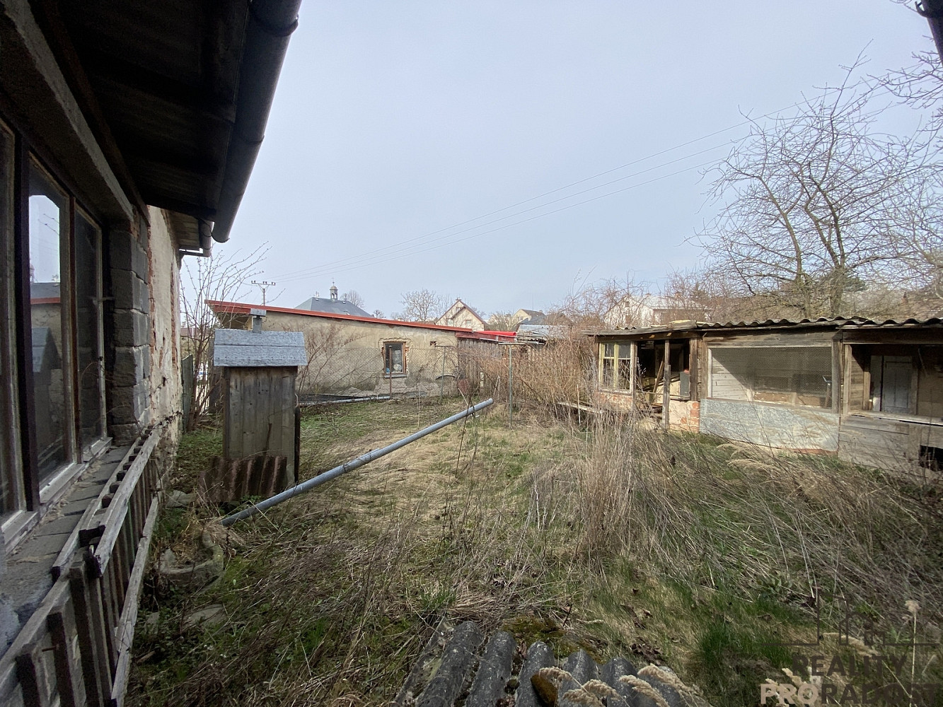 Fotka 12 z 15