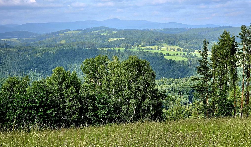 Prodej louky 10 451 m², Vlastiboř – náhled fotky 18