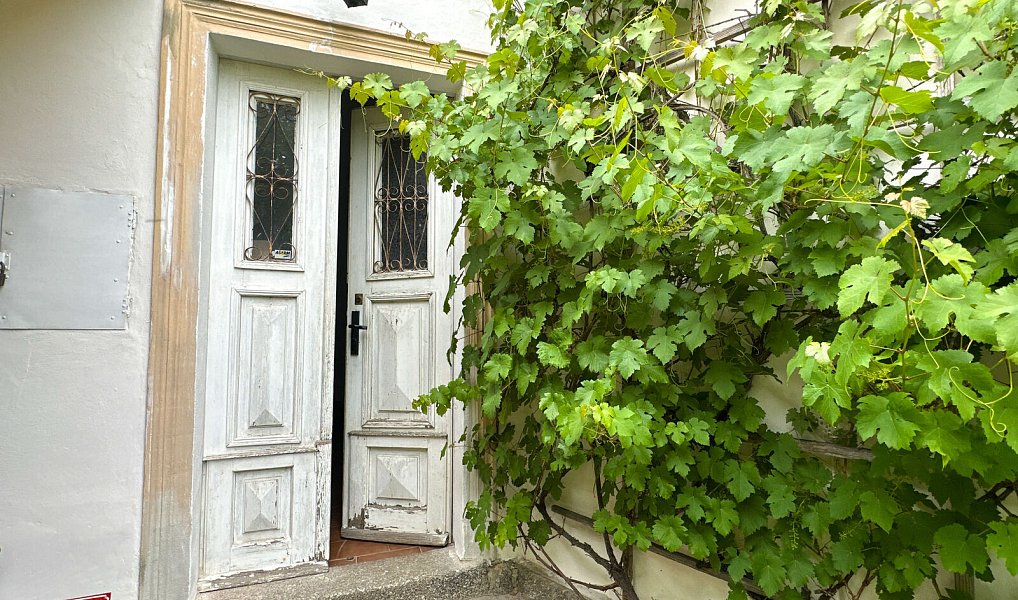 Prodej domu 300 m² s pozemkem 3 129 m², Přimda – náhled fotky 8