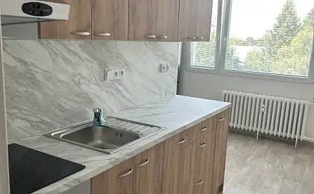 Prodej bytu 1+1 45 m², Na Lužci, Lázně Bohdaneč, okres Pardubice