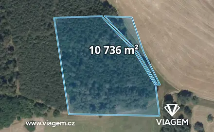 Prodej lesa 2 684 m², Uhlířská Lhota, okres Kolín