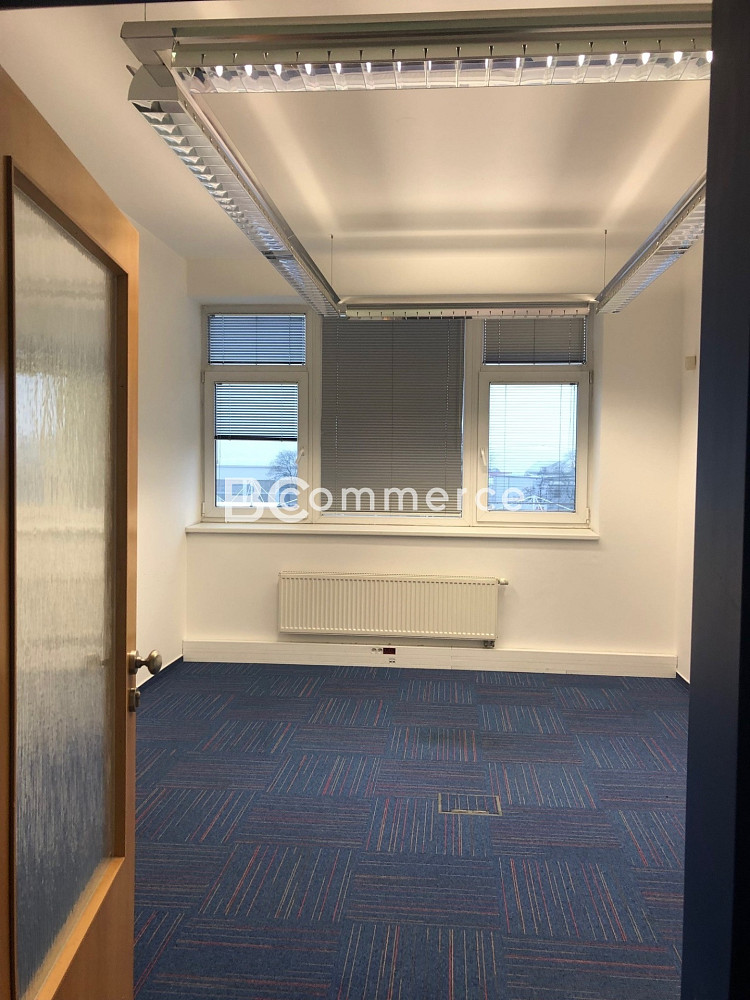Pronájem kanceláře 135 m²
