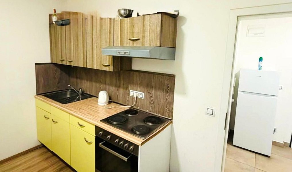 Prodej bytu 2+1 48 m², Plzeň – náhled fotky 2