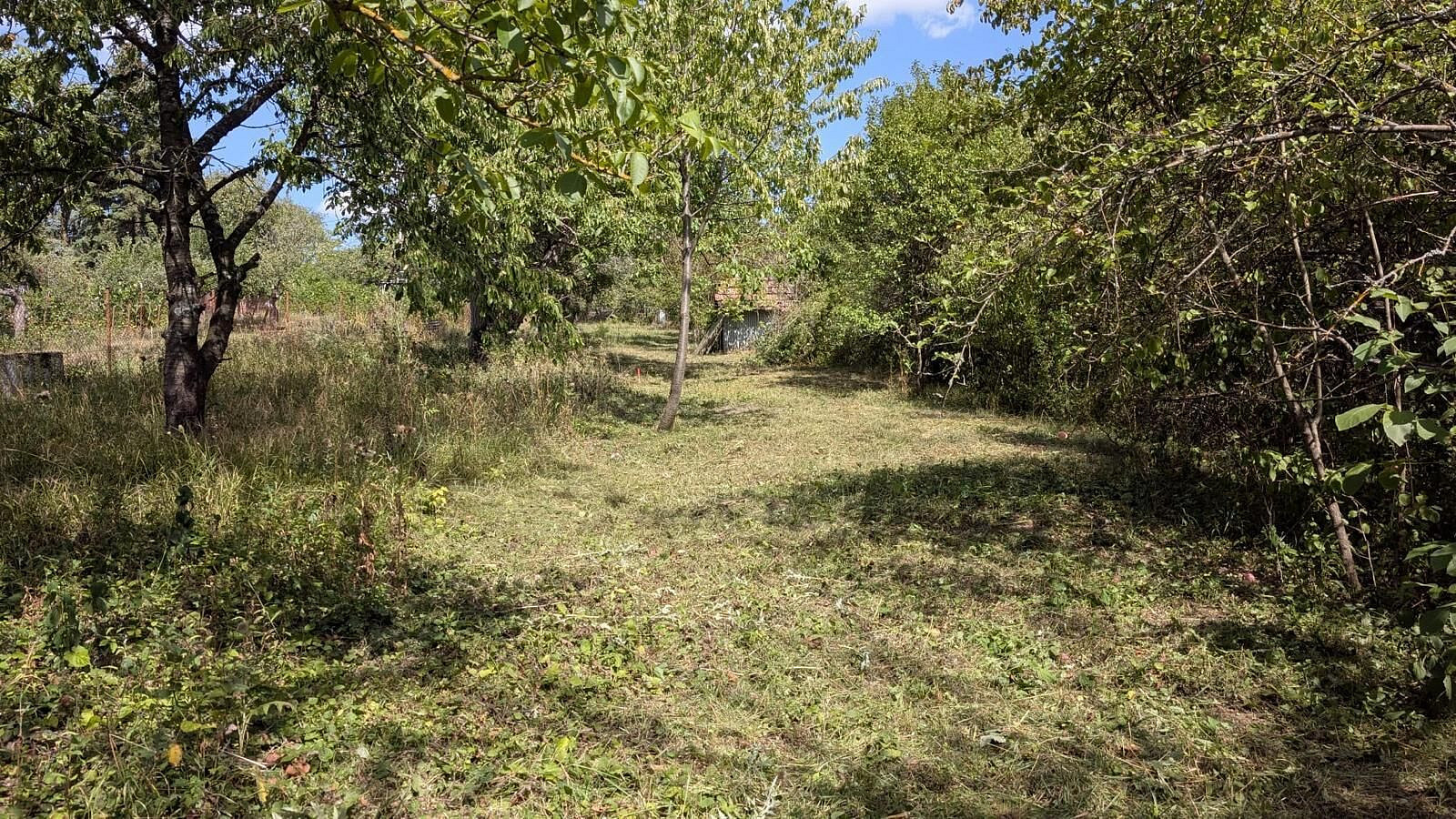Prodej zahrady 463 m²