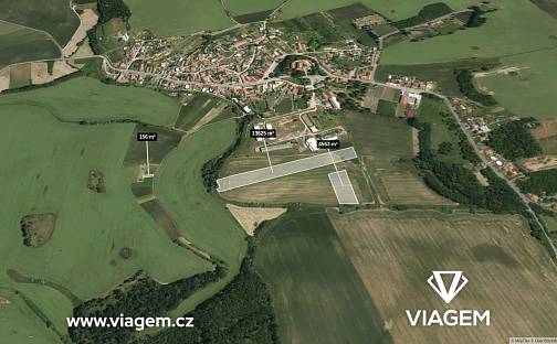 Prodej pole 2 038 m², Hostim, okres Znojmo