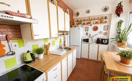 Prodej bytu 2+1 44 m², Řípovská, Třebíč - Borovina